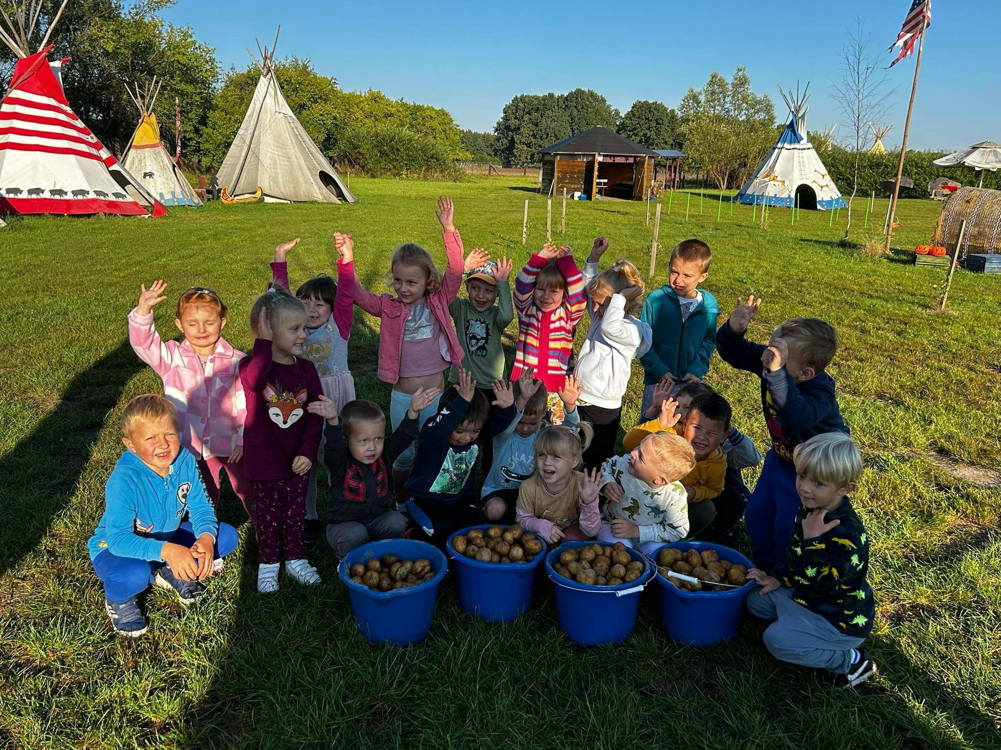 Ziemniaki pozbierane.