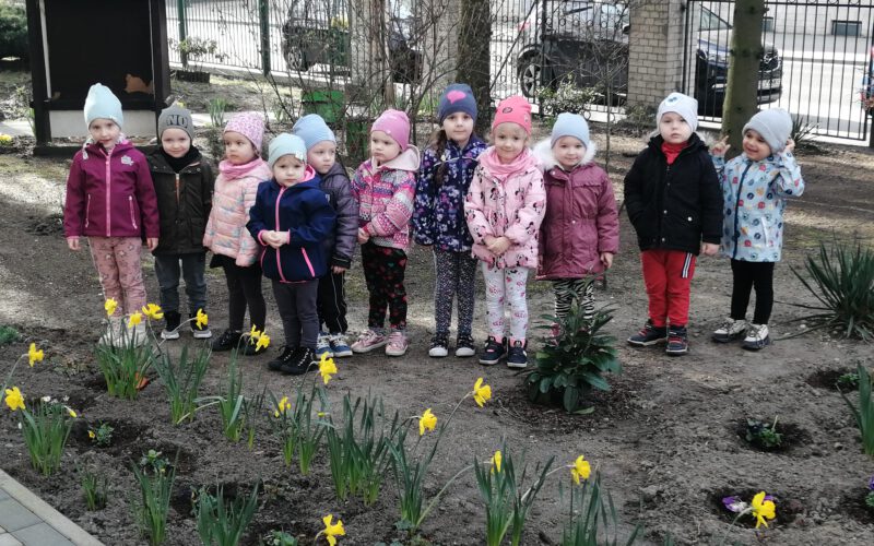 Maluchy na przedszkolnej rabatce.