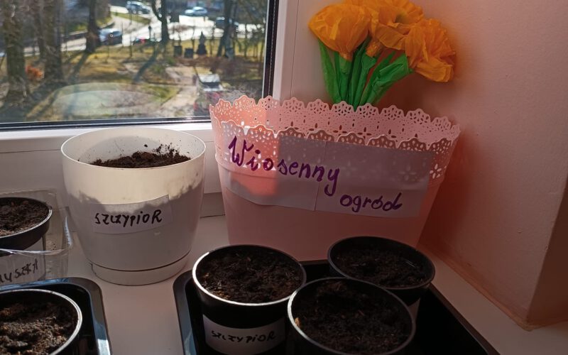 Wiosenny ogródek Smerfów.